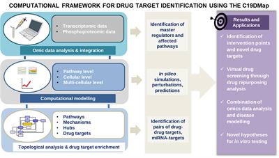 Drug-target identification in COVID-19 disease mechanisms using computational systems biology approaches